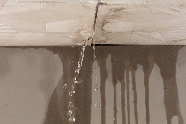 Professional Water Damage Inspection technician working in Belle Glade, FL